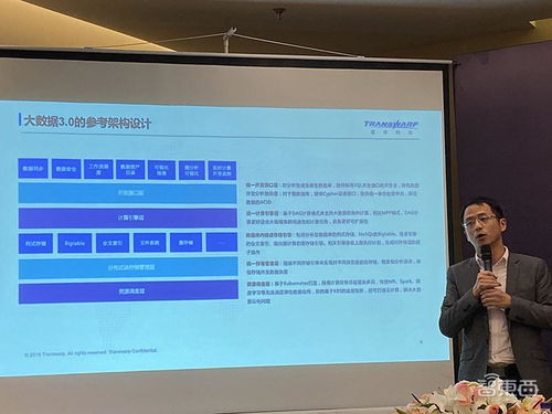 星環(huán)科技 深耕技術咨詢領域的專家